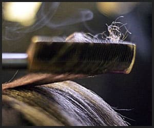 Hot Comb Damaging Fine Hair Hot Comb Damaging Fine Hair